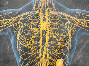 Лимфатическая система - зеркало здоровья